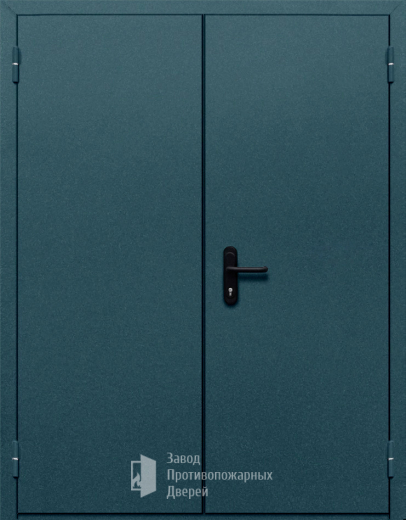 Фото двери «Двупольная глухая №37» в Красноармейску