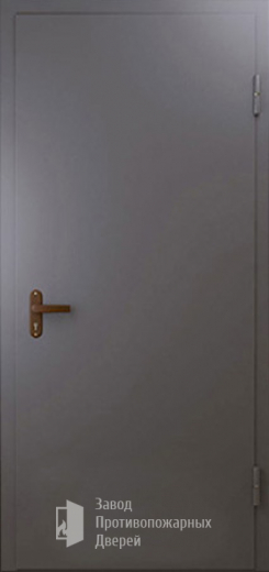 Фото двери «Техническая дверь №1 однопольная» в Красноармейску