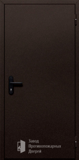 Фото двери «Однопольная глухая №110» в Красноармейску