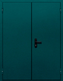 Фото двери «Двупольная глухая №36» в Красноармейску
