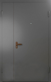 Фото двери «Техническая дверь №6 полуторная» в Красноармейску